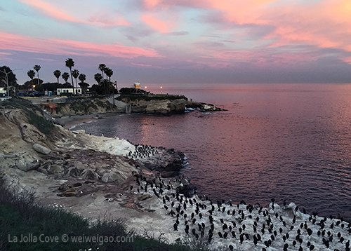La Jolla Cove sunrise