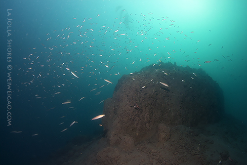 The Vallecitos Point at the shores