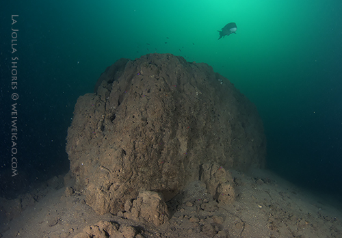 The Vallecitos Point