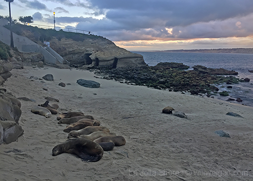 A beautiful morning at the cove