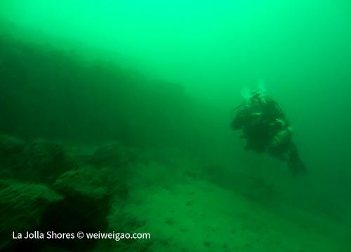 Amazing visibility at the shores canyon