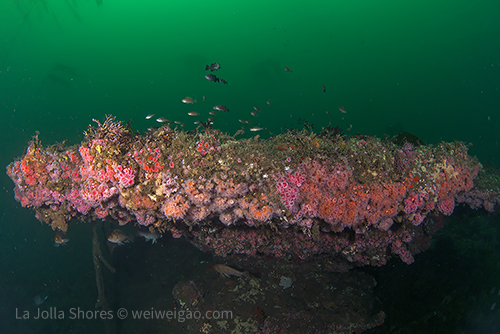 Beautiful colors at Point Loma