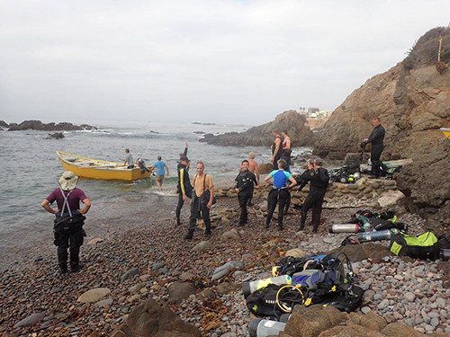 Panga launching on Sunday morning