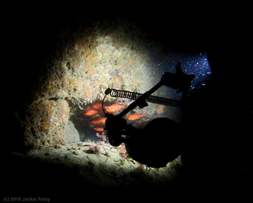 Me taking picture of the cardinal fish