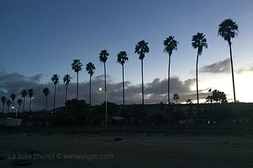 It was still dark when I got to the shores.