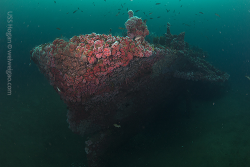 The bow of USS Hogan