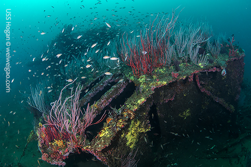 The wreck of USS Hogan