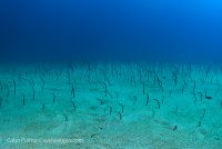 Cabo Pulmo Adventure Day 2