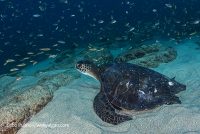 Cabo Pulmo Adventure Day 4