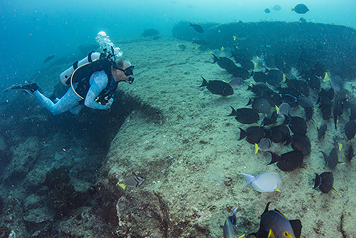 Captain Ed at El Cantil