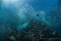 Cabo Pulmo Adventure Day 6