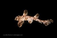 Back To The Cold Water