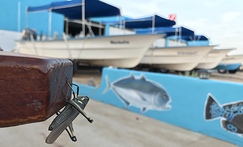 The dive center at Cabo Pulmo Beach Resort