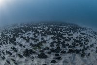 A Morning Visit to the Canyon