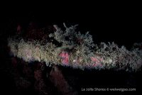 A Dive to the South Wall