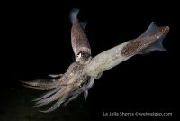 Finally, the Secret Garden