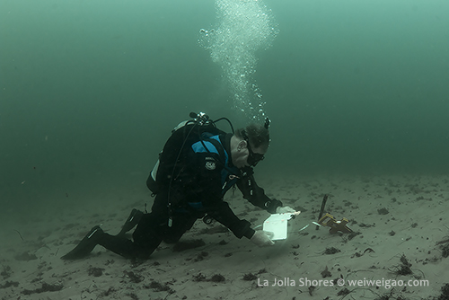 Mike is recording our measurement between two sighting sites.
