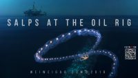 Salps at the Oil Rig