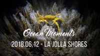 La Jolla Shores Night Dive