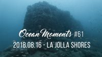 Morning Dive at La Jolla Shore – Stunning Condition!