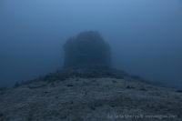 Morning Dive at La Jolla Shores