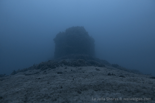 Vallecitos Point at the Shores