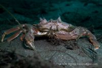 Beautiful North Wall