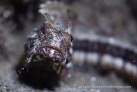 La Jolla Shores – Day and Night