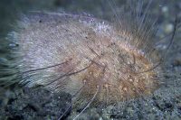 Another Visit to the Canyon