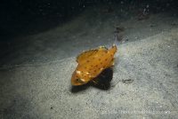 Beautiful Morning at La Jolla Shores