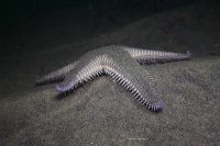 Morning at La Jolla Shores