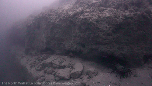 The North Wall at the Shores