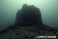 Morning Dive at La Jolla Shores