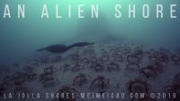 An Alien Shore