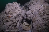 Morning at La Jolla Shores