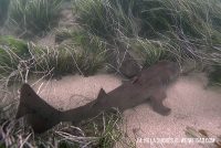 Marine Room in the Morning