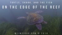 On the Edge of the Reef