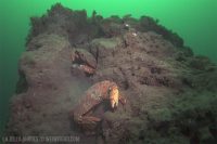 Morning at La Jolla Shores