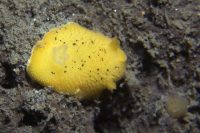 Morning at La Jolla Shores