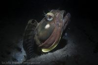 Dawn at La Jolla Shores