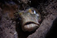 Morning at the Shores