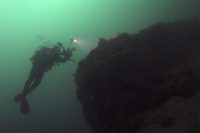 Morning at the Shores