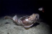 Morning at the Shores