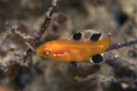 La Jolla Shores in the Morning
