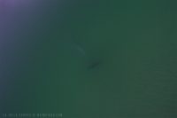 At the Shores with Mike