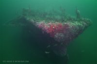 Hogan and Train Wheel