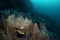 La Jolla Shores Sunrise