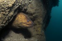 Morning to the North Wall