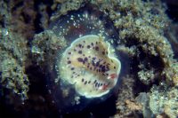 Morning at the Shores