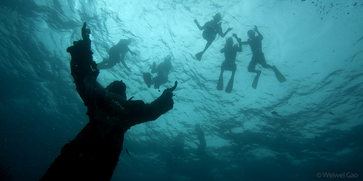 Florida Diving Journals (2005-2007)